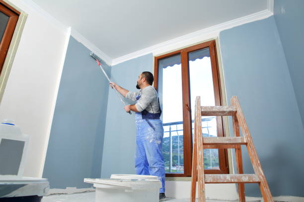 Best Drywall Crack Repair  in Buhl, MN